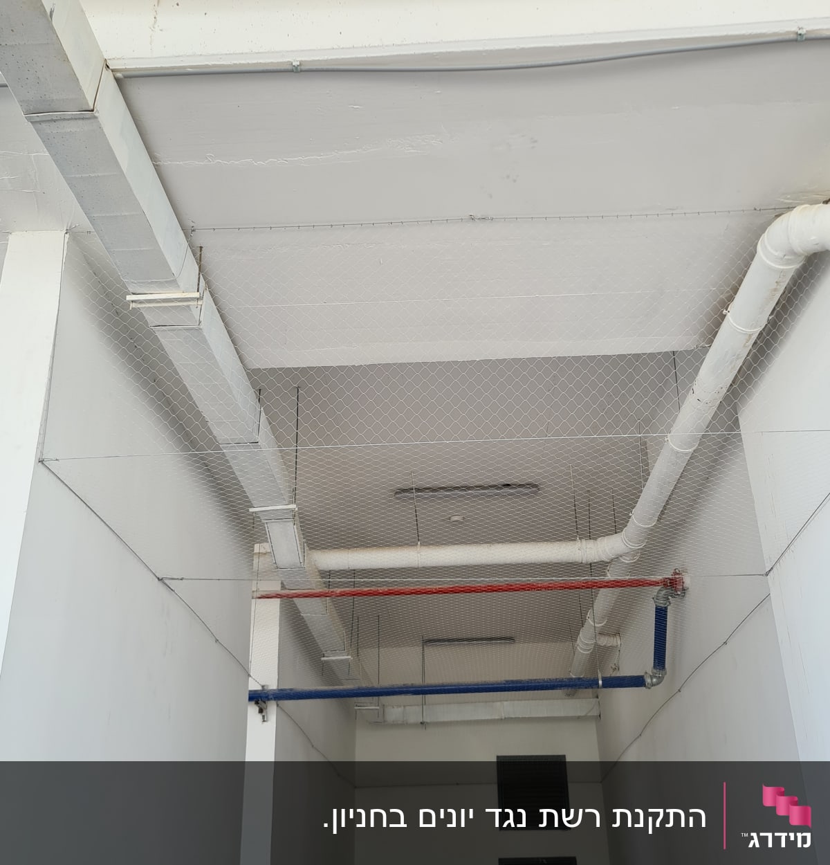 רשת למניעת כניסת יונים מותקנת בתקרה